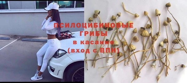 а пвп мука Алзамай