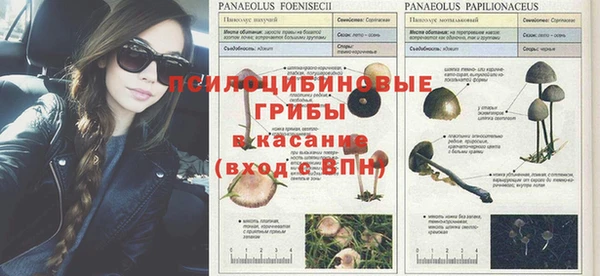 шишки Абдулино