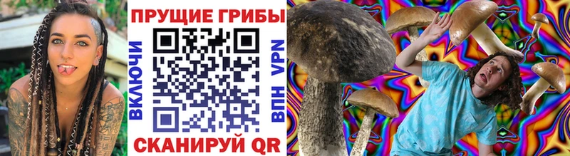 Галлюциногенные грибы Magic Shrooms Николаевск-на-Амуре